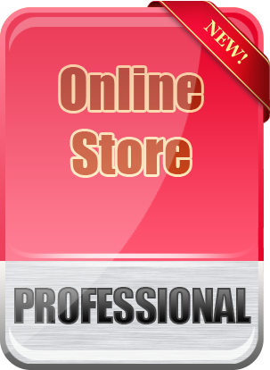 Online Store New